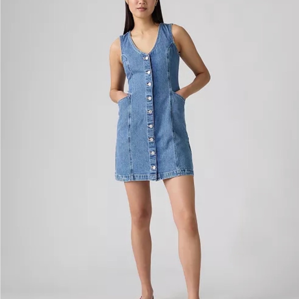 Vianna Denim Button Front Dress